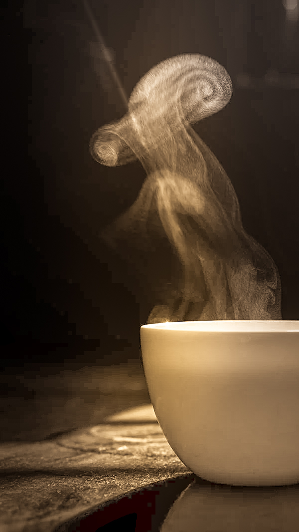 Wat kan je verwachten